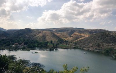 Eklingji Udaipur 12th-15 Jan 2025